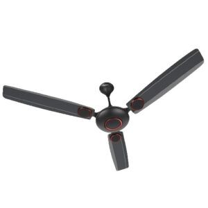 zepto ceiling fan